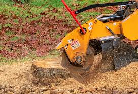 Best Lawn Watering Services  in Decherd, TN